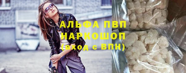 гидра Яровое