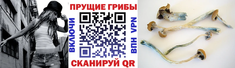Галлюциногенные грибы прущие грибы где купить наркоту Асино