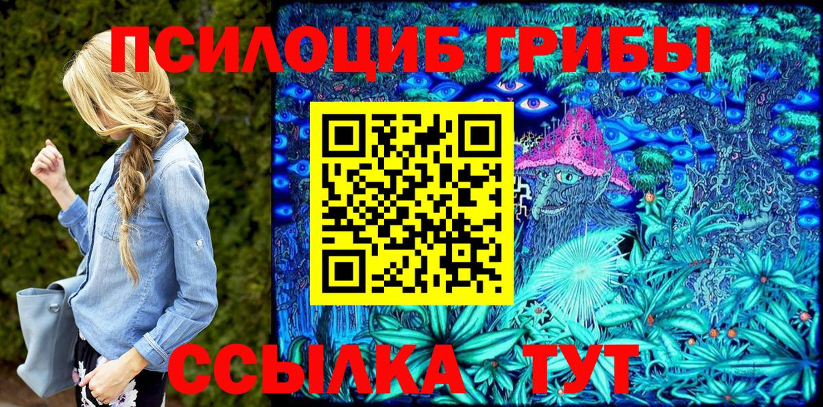 Псилоцибиновые грибы прущие грибы  Асино  Псилоцибиновые грибы Psilocybine cubensis 
