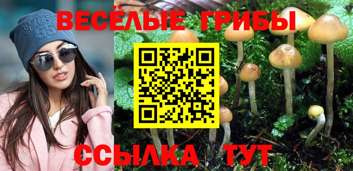 Асино  наркотики  Вход с VPN  Псилоцибиновые грибы Magic Shrooms  Галлюциногенные грибы MAGIC MUSHROOMS 
