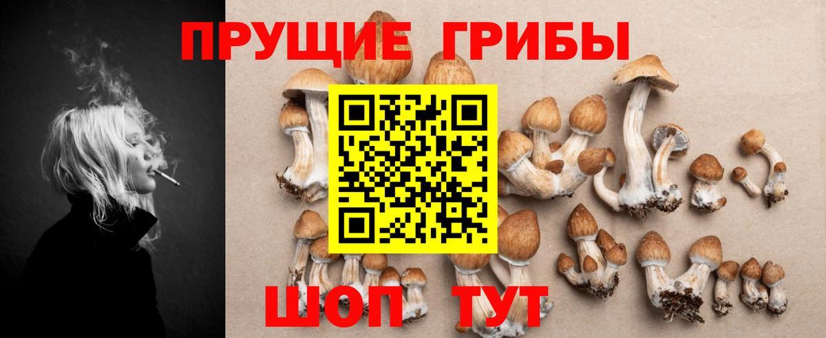 Галлюциногенные грибы прущие грибы Асино