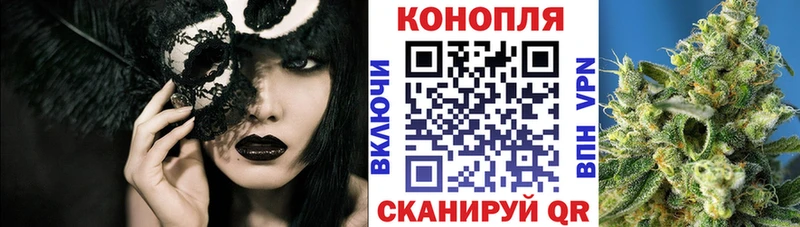 наркота  Асино  МАРИХУАНА планчик 